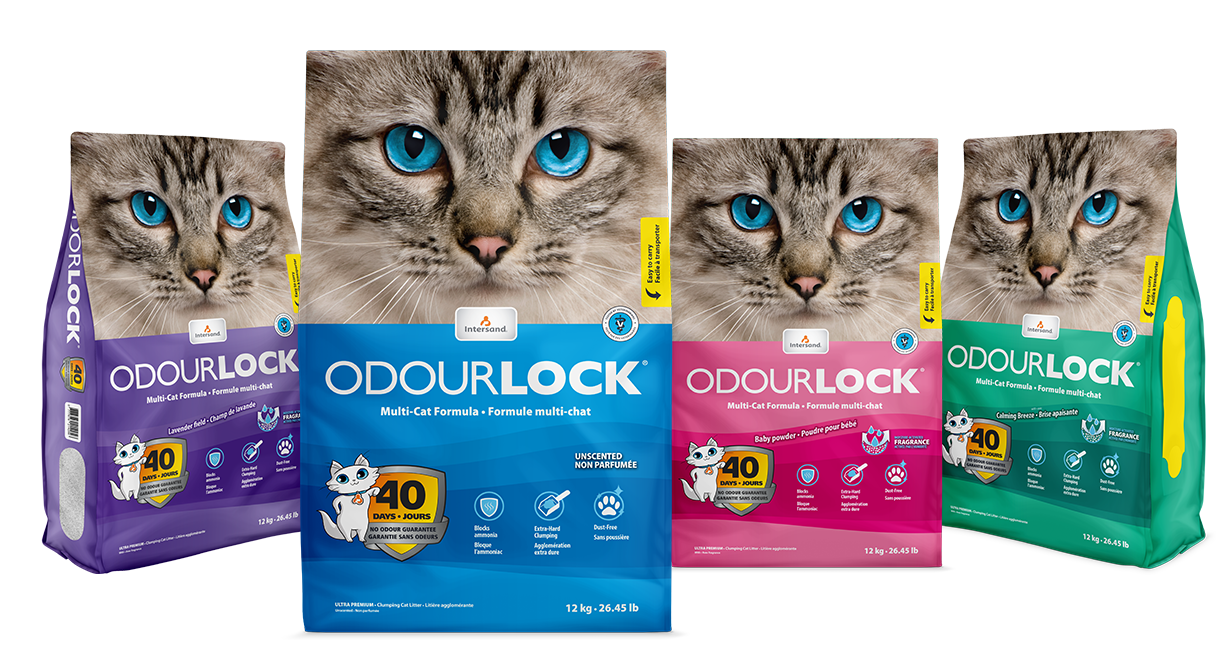 Intersand - Odourlock Clumping Litter 12 Kg