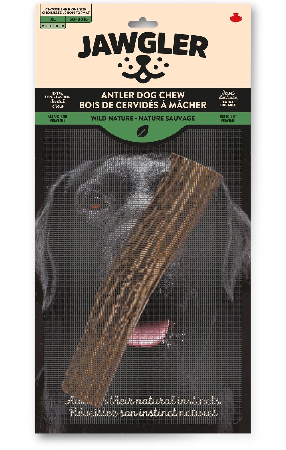 Jawgler-Deer Antler Chew, Whole - Wild Nature