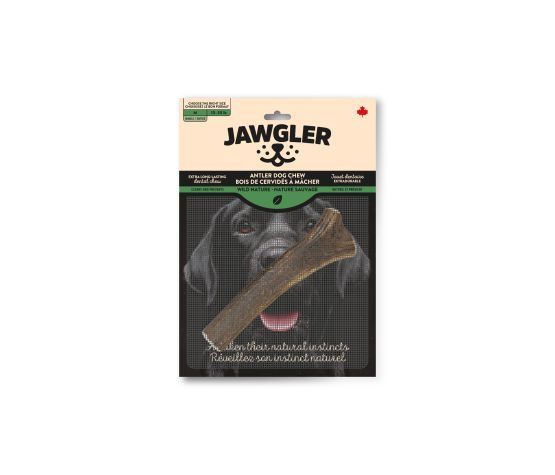 Jawgler-Deer Antler Chew, Whole - Wild Nature