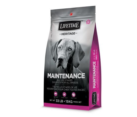 Lifetime- Nourriture Pour Chien, Maintenance 15 Kg