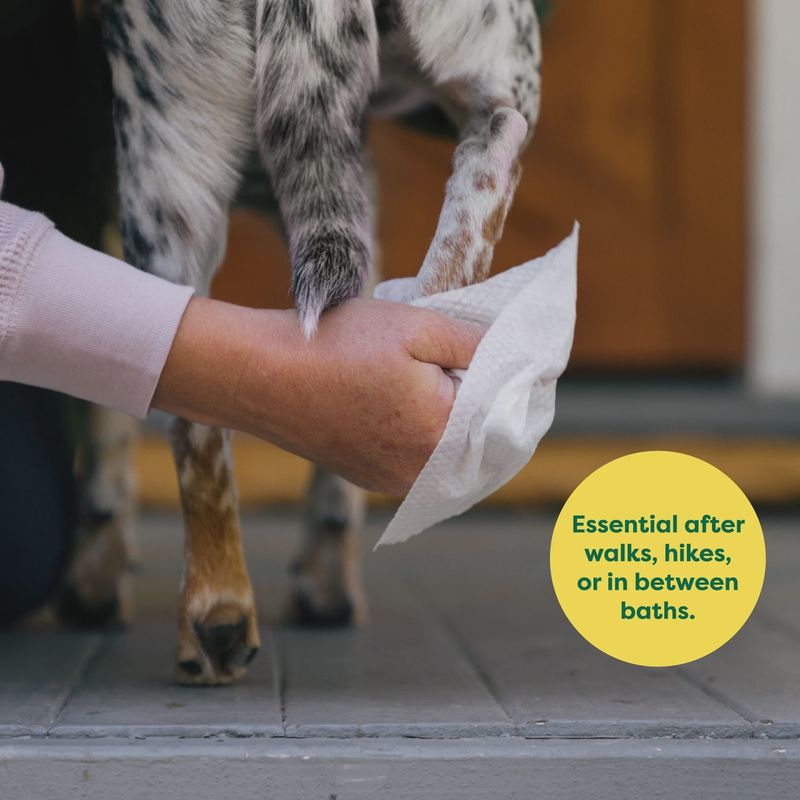 Earth Rated-Textured Grooming Wipes for Dogs