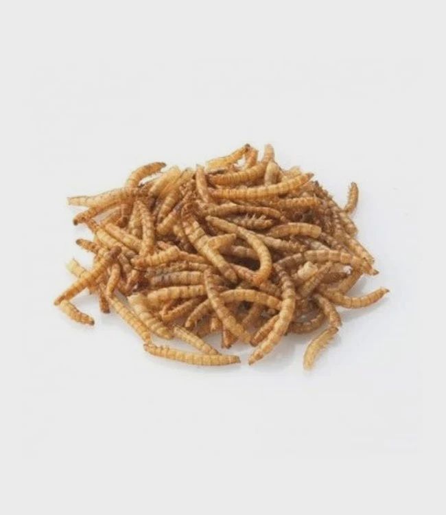 Maska Sélect- Insecte séchés pour volaile, format: 2kg