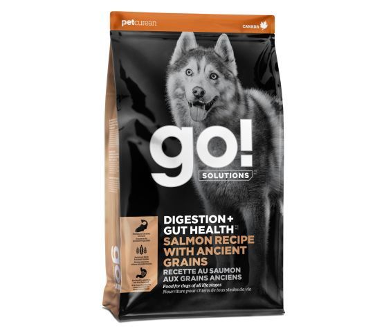 Go!- Digestion and Intestinal Health with Ancient Grains for Dogs Salmon 22 Lbs
