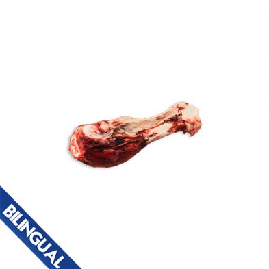 K9 Choice Foods - Dino Bone, Frozen Raw Beef Femur