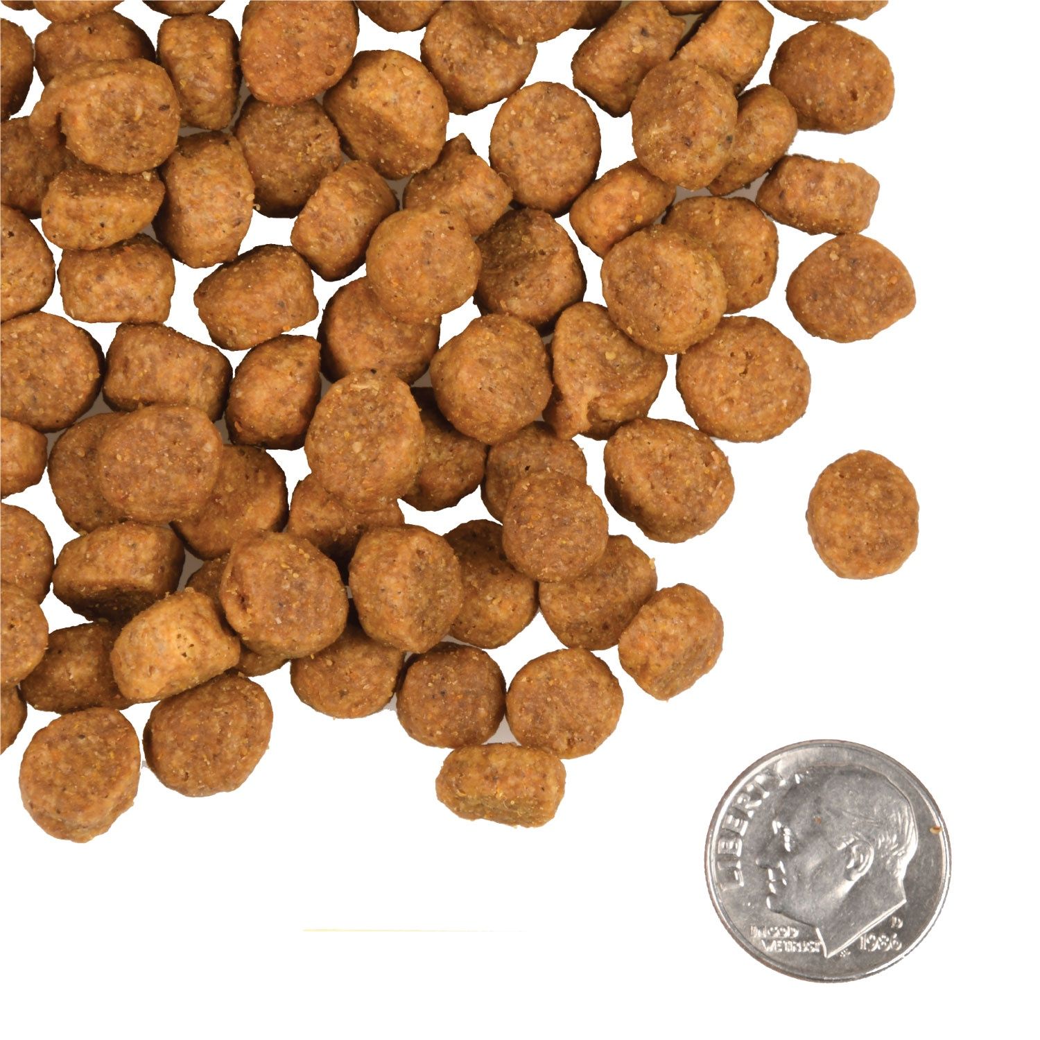 Fromm Hearthland Gold - Large Breed Puppy 26lbs