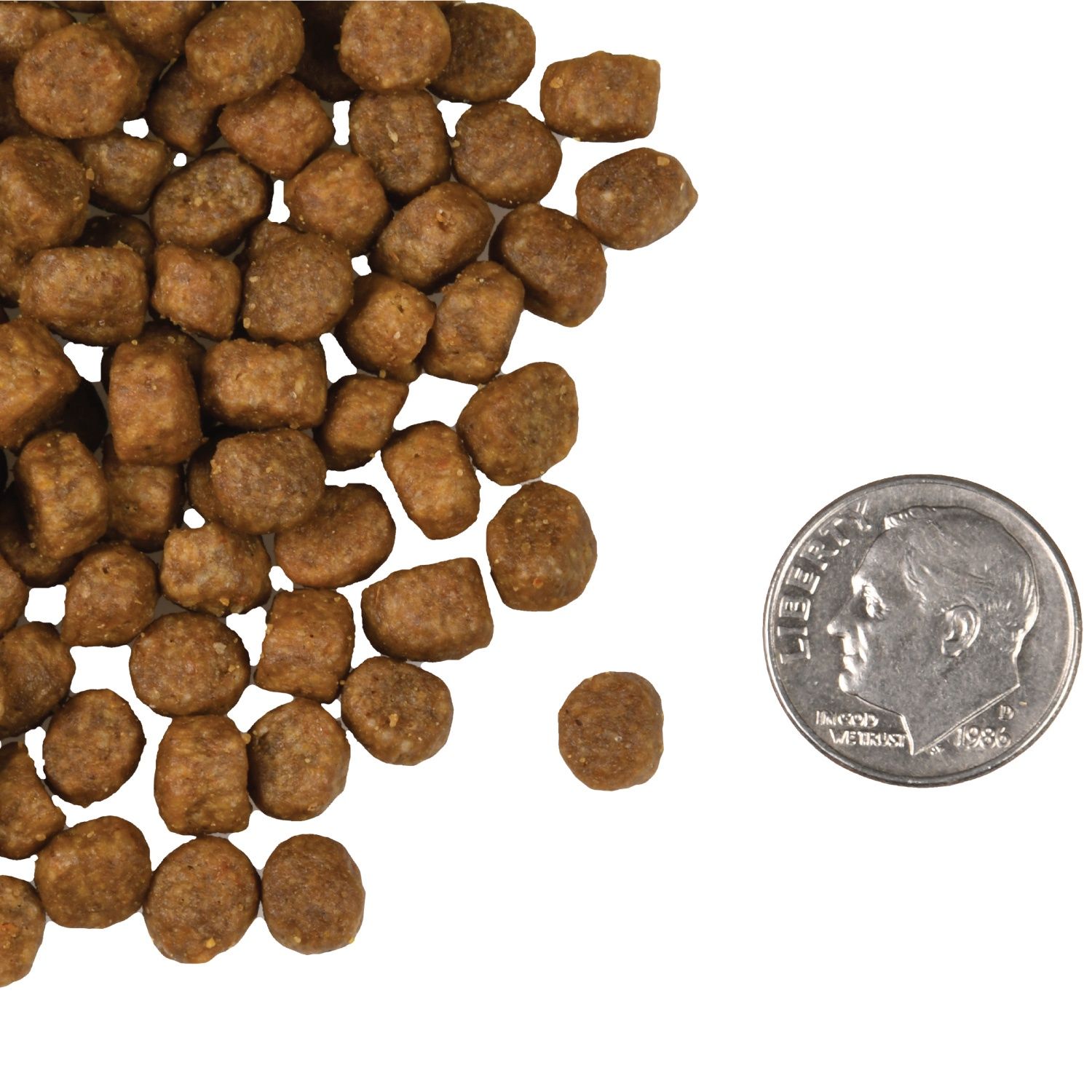 Fromm Four-Star - Salmon &amp; Veg Recipe for Cats 4lbs