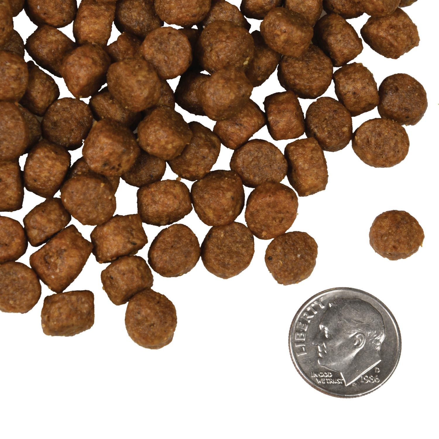 Fromm Four-Star - Salmon Tunalini Recipe