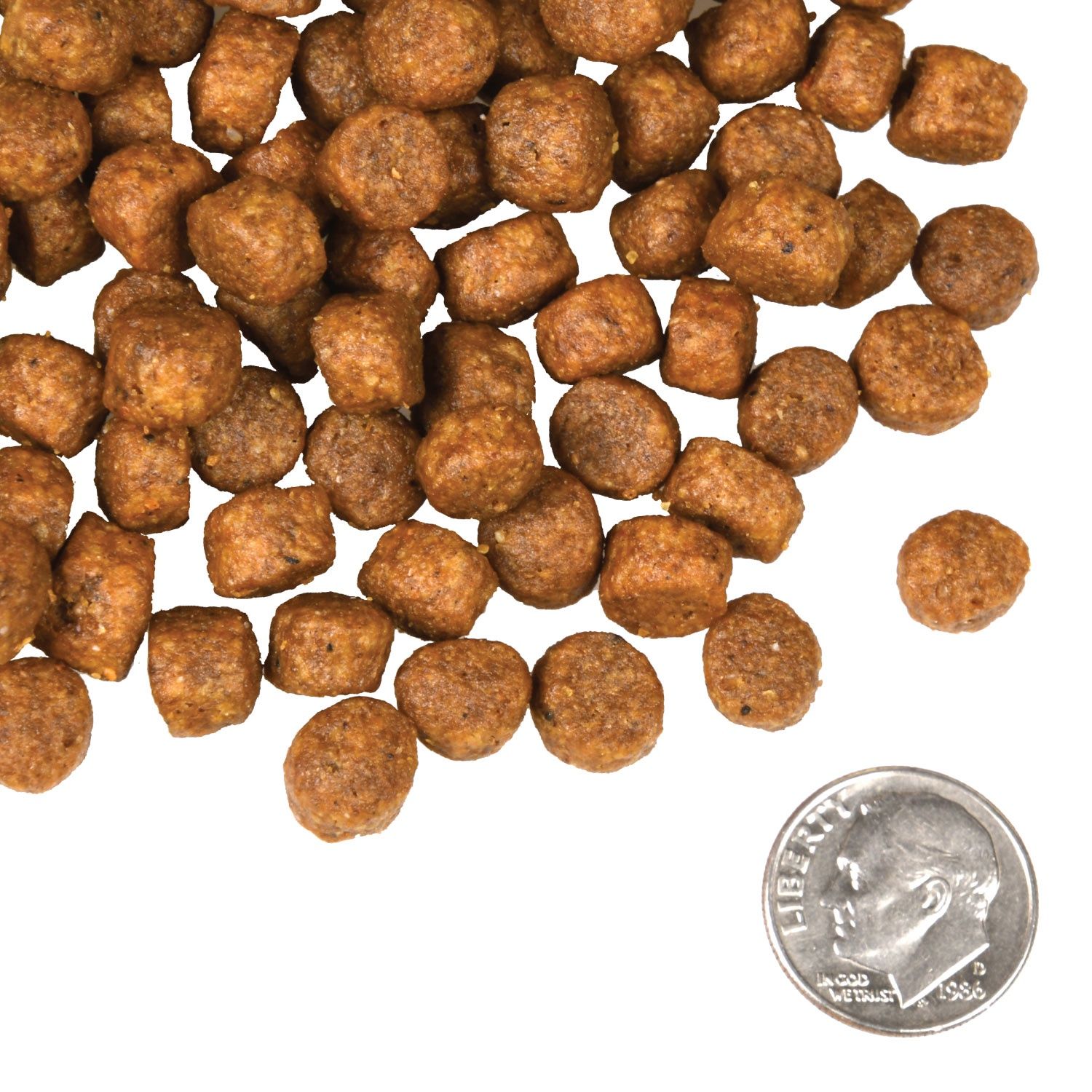 Fromm Four-Star Beef Frittata with Veggies