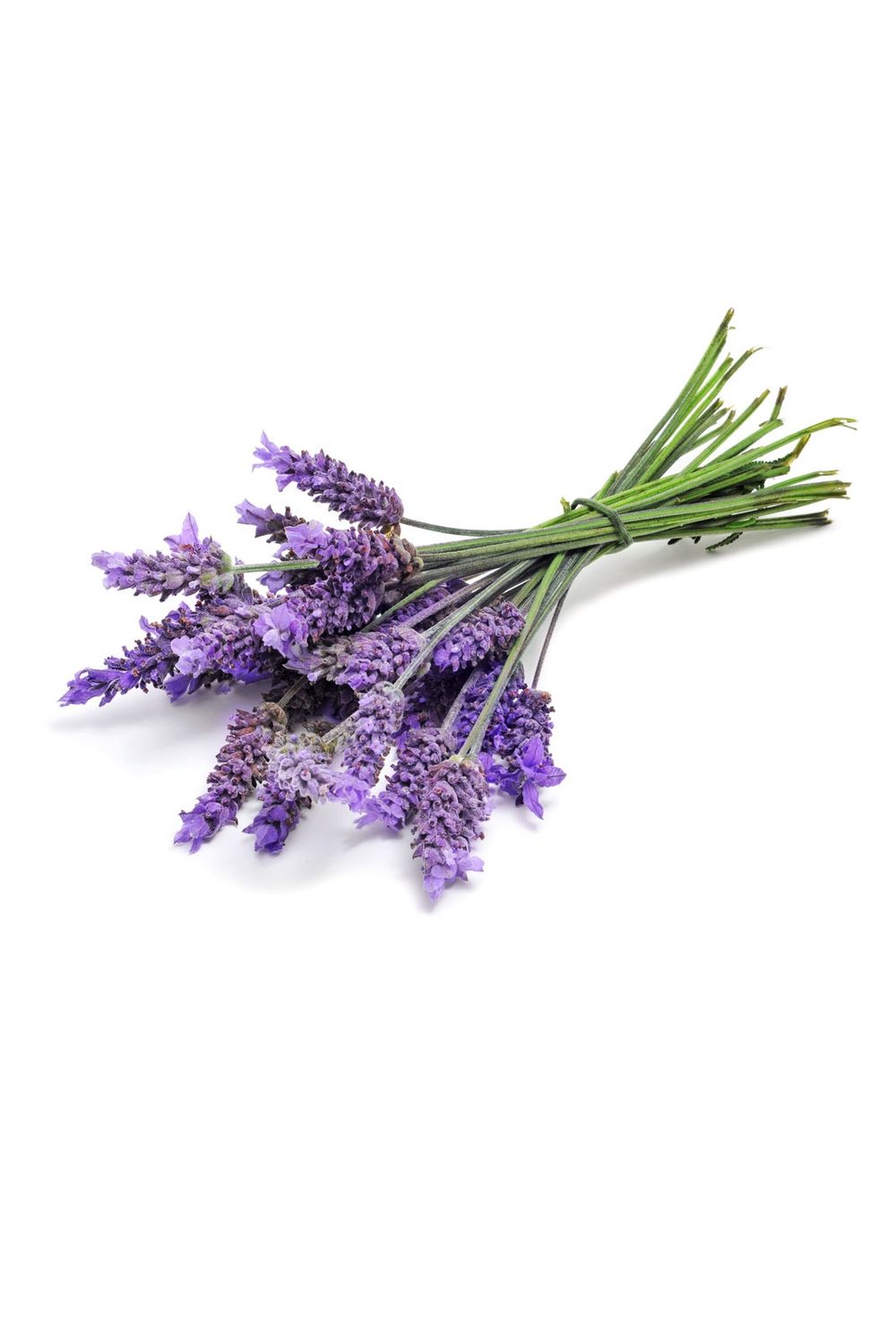 DoTERRA - Lavender Essential Oil