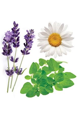 doTERRA - Essential Oil Blend Serenity