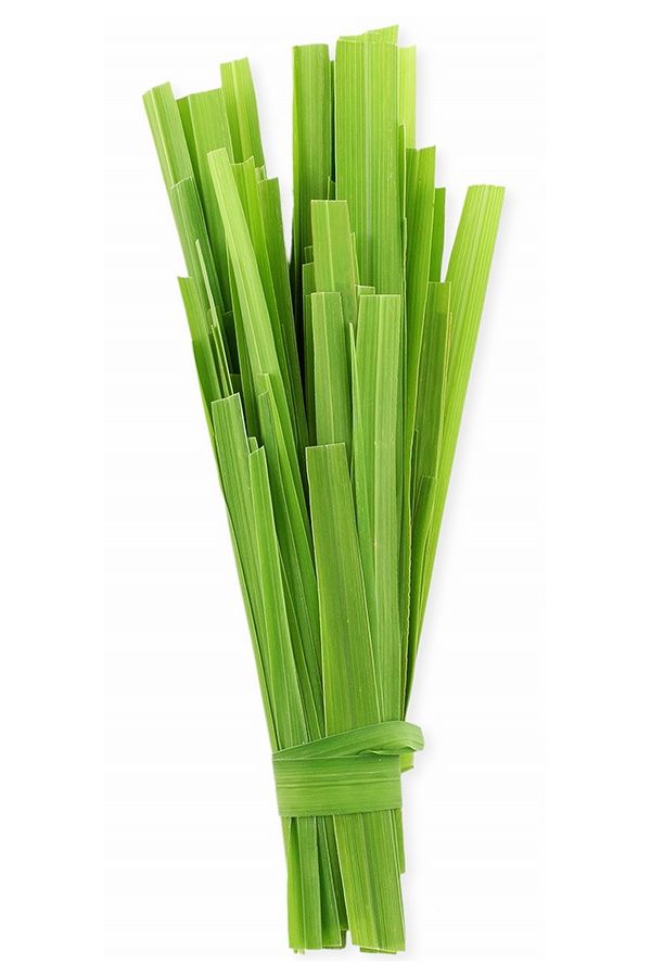 DoTERRA - Citronella Essential Oil 15ml