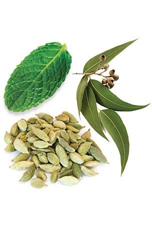 doTERRA - Essential Oil Blend Easy Air