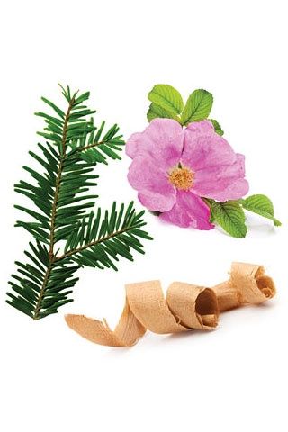 Doterra - TerraShield Essential Oil Blend