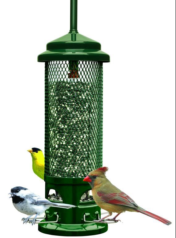Brome - Squirrel Buster Legacy Bird Feeder