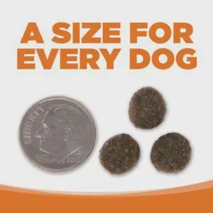 Pure Vita- Sans grains Entrée de chevreuil et lentilles rouges ingrédients limités 11.34 KG