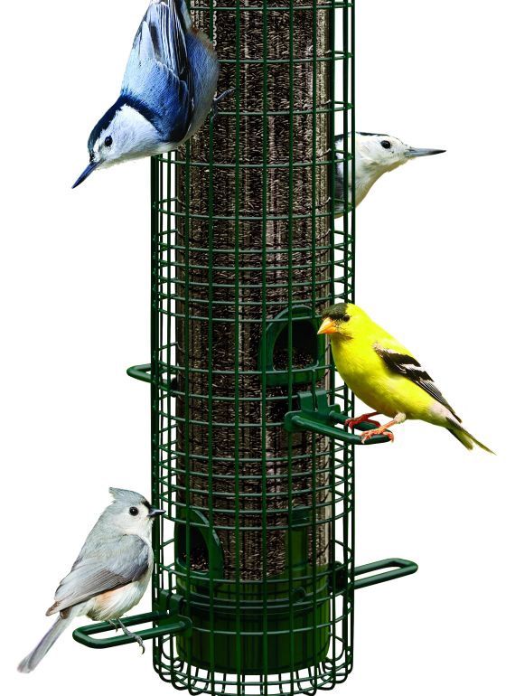 Brome- Squirrel Buster Classic Bird Feeder