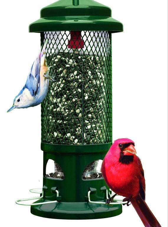 Brome- Squirrel Buster Standard Bird Feeder