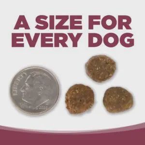 Pure Vita- Sans grains Entrée de saumon et Kale ingrédients limités