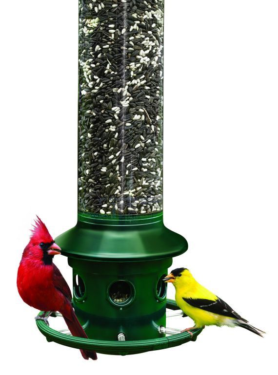 Brome - Squirrel Buster Plus Bird Feeder