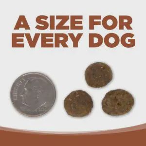 Pure Vita- Sans grains  Entrée kangourou et lentilles vertes ingrédients limités