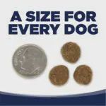 NutriSource- Woodlands Select Recette de sélection des terres boisées sans grains au sanglier pour chien