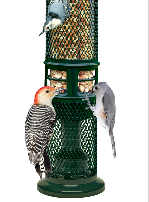 Brome - Squirrel Buster Nut Bird Feeder