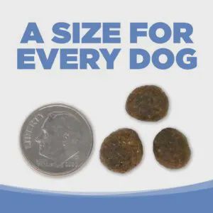 Pure Vita- Sans grains Entrée de dinde et patate douce ingrédients limités