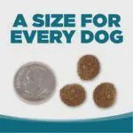 NutriSource-Recette de poulet et de riz pour chien adulte