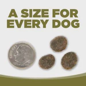 Pure Vita- Sans grains Entrée Canard lentilles vertes ingrédients limités