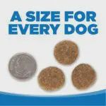 NutriSource-Recette de poulet et de riz de grande race 11.8kg