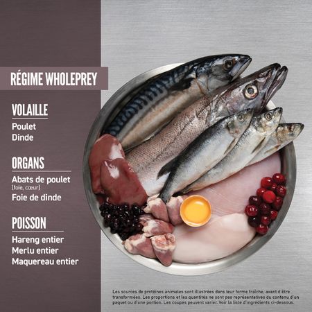 Orijen- nourriture pour chat Forme et santé