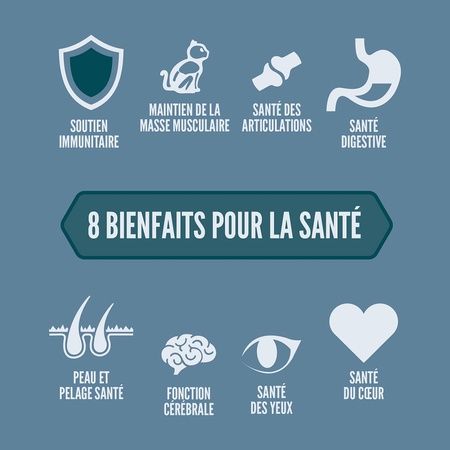 Orijen - Nourriture pour chat Guardian 8