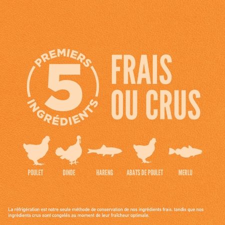 Orijen- nourriture pour chat Original