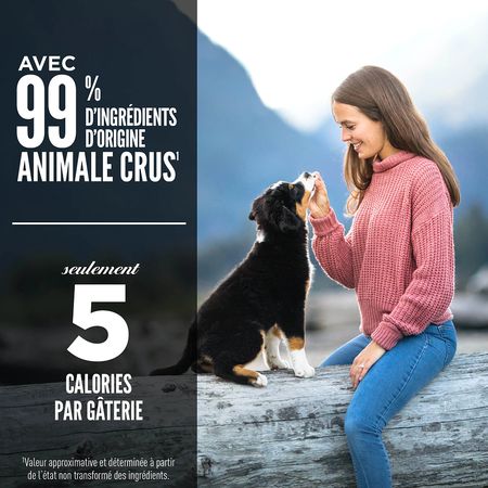 Orijen- Gâterie pour chien Lyophilisées sans grains 92gr
