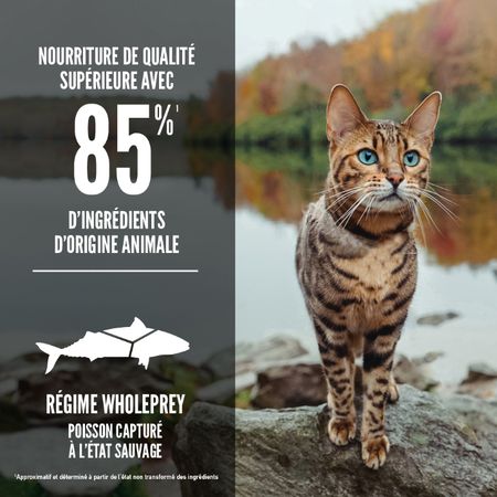 Orijen- nourriture pour chat six poisson
