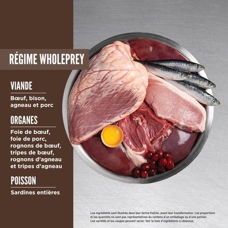 Orijen- nourriture pour chat regional red