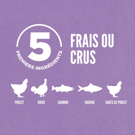 Orijen- nourriture a chaton 1.8kg