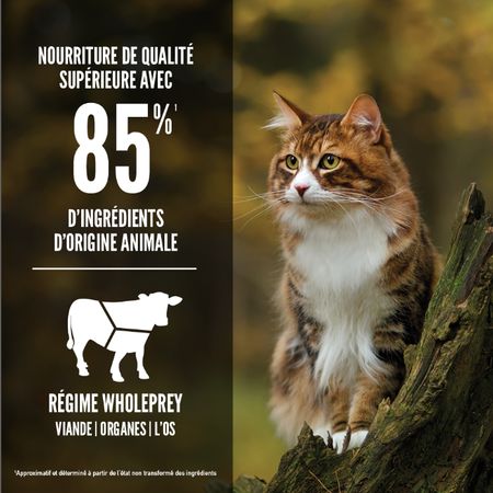 Orijen- nourriture pour chat regional red