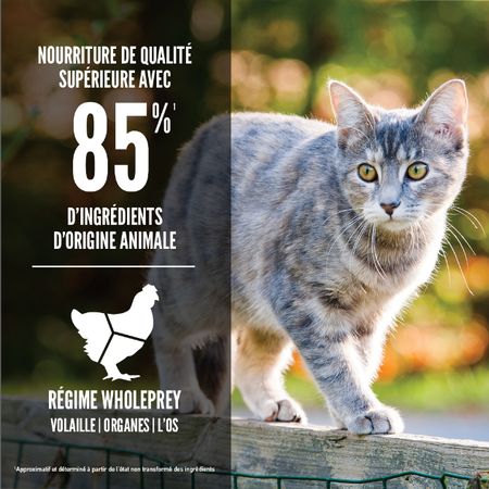 Orijen- nourriture pour chat Original