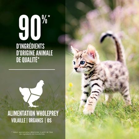 Orijen- nourriture a chaton 1.8kg