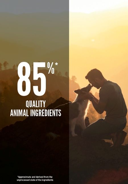 Orijen- nourriture pour chien Thundra 11.4kg