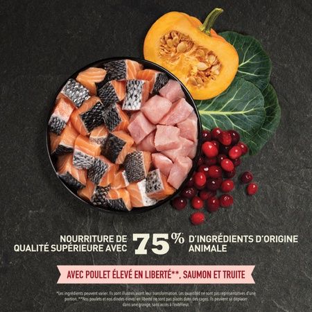 Acana - Indoor Cat Food Higher Protein Content