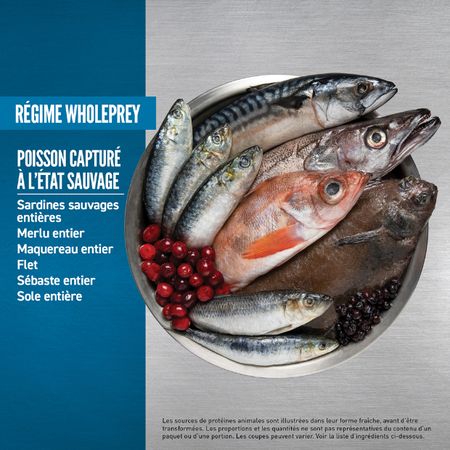 Orijen- nourriture pour chat six poisson