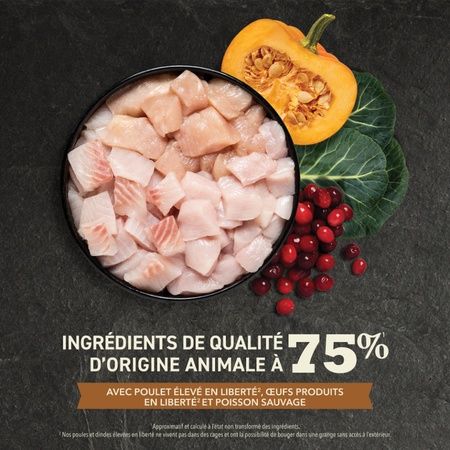 Acana - Cat Food with Higher Protein Content, Wild Prairie