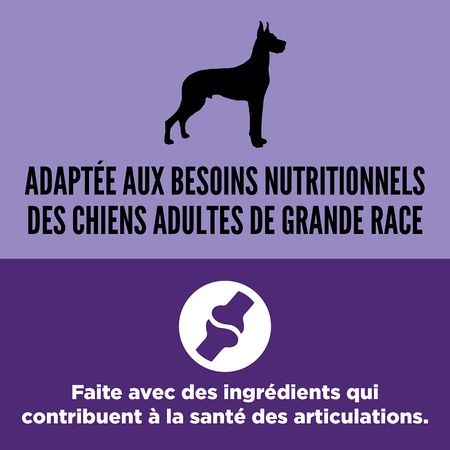 Orijen- nourriture pour chien grande race 11.4kg