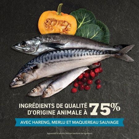 Acana - Cat Food with Higher Protein Content, Pacifica