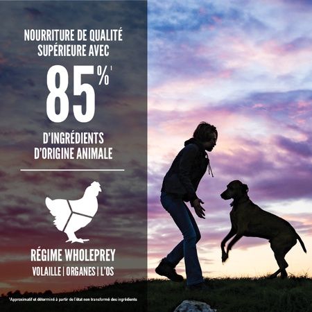 Orijen- nourriture pour chiot grande race 11.4kg