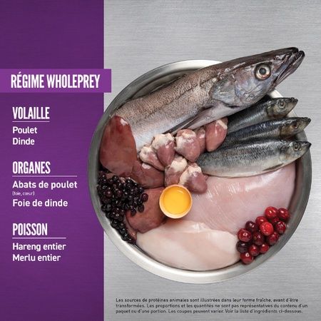 Orijen- nourriture pour chiot grande race 11.4kg