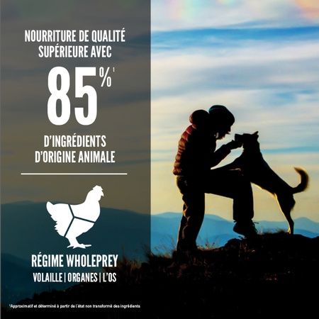 Orijen- nourriture pour chien original