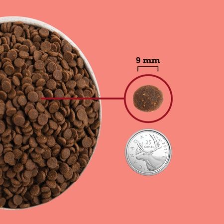 Acana - Indoor Cat Food Higher Protein Content